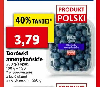 Lidl Borówki amerykańskie oferta