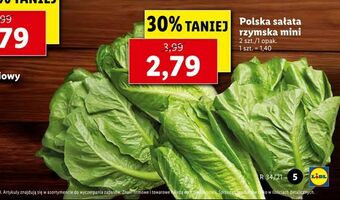 Lidl Polska sałata rzymska mini oferta