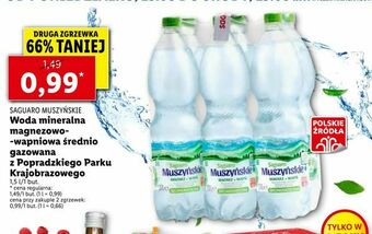 Lidl Woda mineralna magnezowo- -wapniowa średnio gazowana z Popradzkiego Parku Krajobrazowego oferta