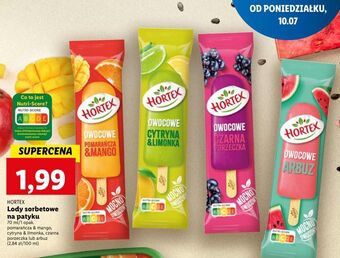 Lidl Lód arbuz hortex oferta