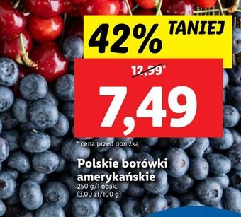 Lidl Borówki amerykańskie oferta