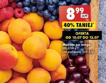 Biedronka Morela oferta