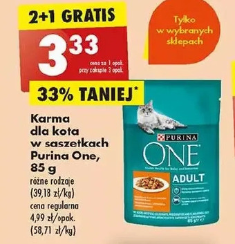 Biedronka Karma dla kota purina one oferta