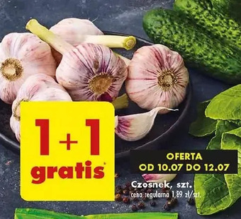 Biedronka Czosnek oferta
