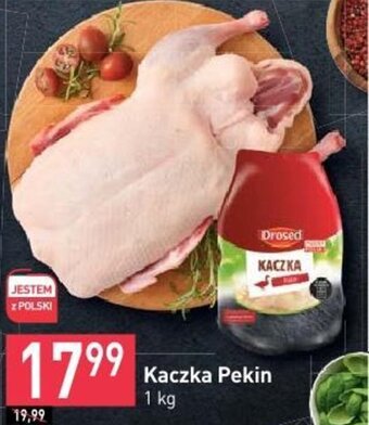 Stokrotka Kaczka Pekin 1 kg oferta