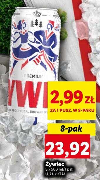 Lidl Żywiec 8x500ml oferta