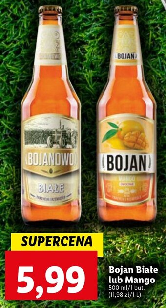 Lidl Bojan Białe lub Mango 500ml oferta