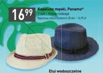 Stokrotka Kapelusz męski, Panama oferta