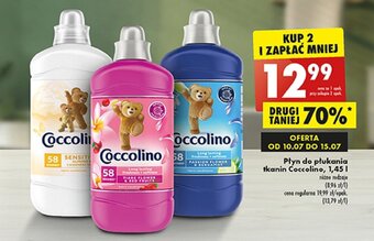 Biedronka Płyn do płukania tkanin Coccolino 1,45 l oferta