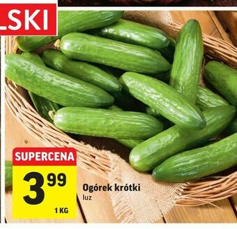Intermarche Ogórek krótki oferta