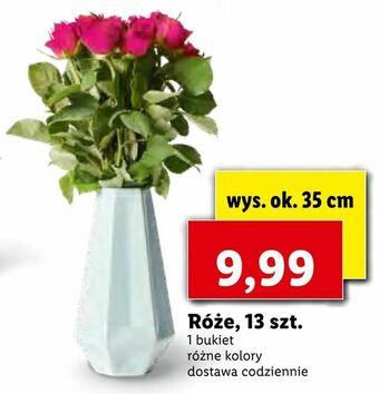 Lidl Róże, 13 szt oferta