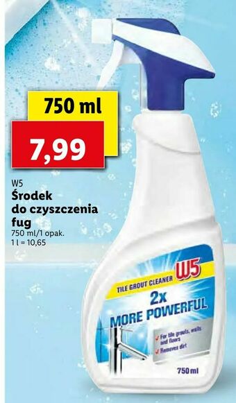 Lidl Środek do czyszczenia fug oferta