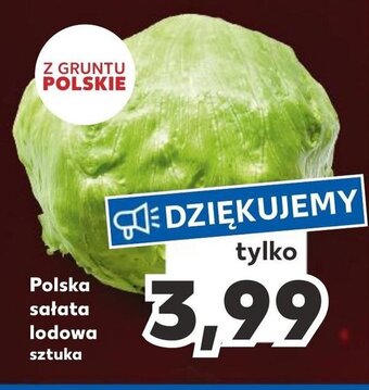 Kaufland Polska sałata lodowa sztuka oferta