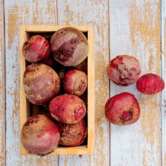 ALDI Buraki czerwone wczesne oferta