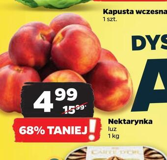 Netto Nektarynka oferta