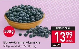 Stokrotka Borówki amerykańskie oferta