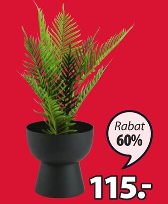 JYSK Donica oferta