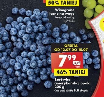 Biedronka Borówka amerykańska, opak. 300 g oferta