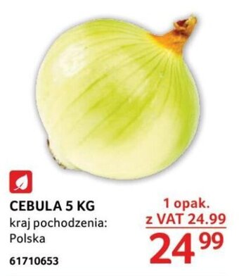 Selgros CEBULA 5 KG oferta