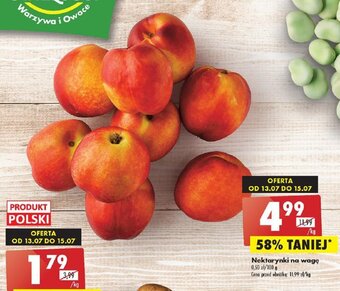 Biedronka Nektarynki na wagę 1 kg oferta