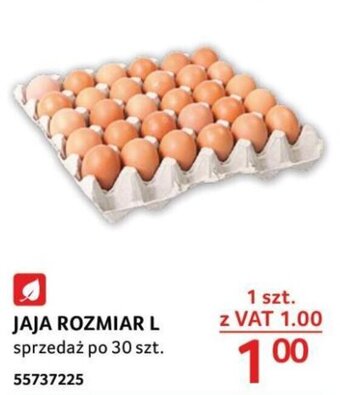 Selgros JAJA ROZMIAR L oferta