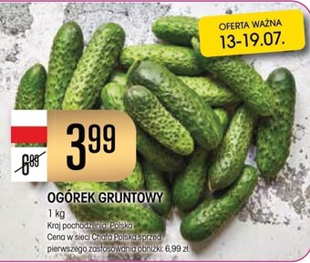 Chata Polska OGÓREK GRUNTOWY 1 kg oferta
