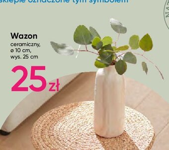 Pepco Wazon ceramiczny oferta