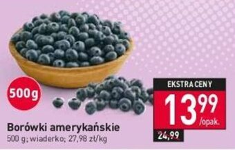 Stokrotka Borówki amerykańskie 500 g oferta