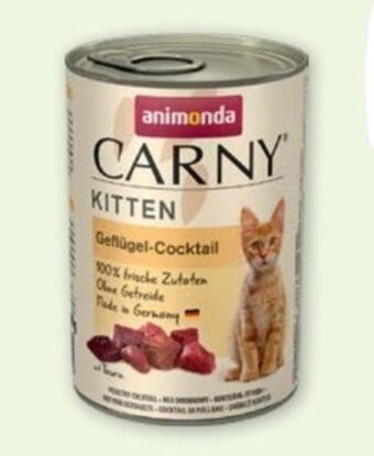 Maxi Zoo Karma dla kota animonda oferta