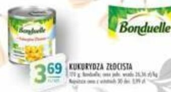 KUKURYDZA ZŁOCISTA
