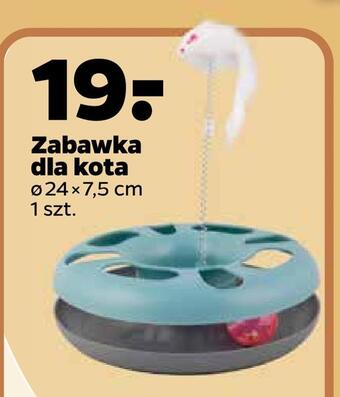 Netto Zabawka dla kota oferta