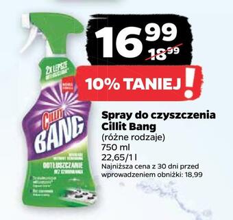 Netto Spray do czyszczenia cillit bang oferta