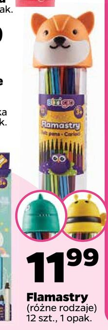 Netto Flamastry oferta
