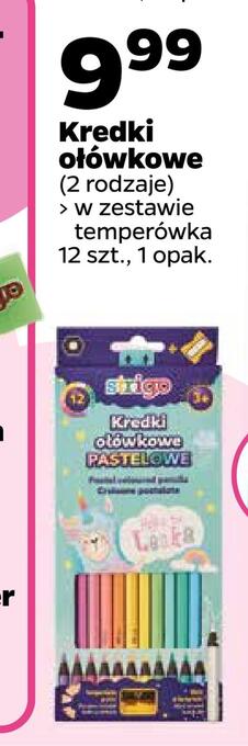 Netto Kredki ołówkowe oferta