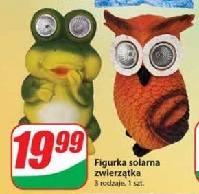 Dino Figurka led oferta