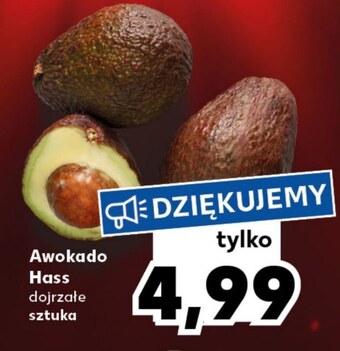 Kaufland Awokado oferta
