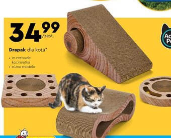 Biedronka Drapak dla kota oferta
