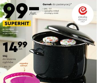 Biedronka Garnek do pasteryzacji 12 l oferta