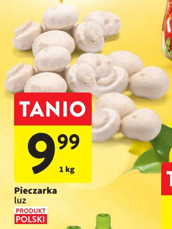 Intermarche Pieczarka luz 1 kg oferta