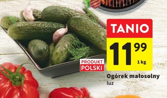 Intermarche Ogórek małosolny luz 1 kg oferta