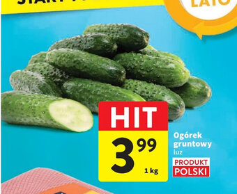 Intermarche Ogórek gruntowy 1kg oferta
