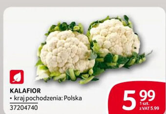 Selgros KALAFIOR oferta