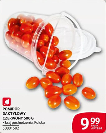 Selgros POMIDOR DAKTYLOWY CZERWONY 500 G oferta