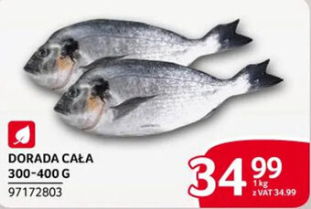 Selgros DORADA CAŁA 300-400 G oferta