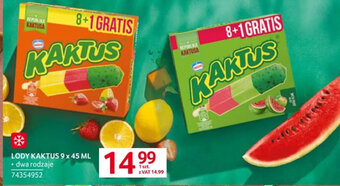 Selgros LODY KAKTUS 9 x 45 ML oferta