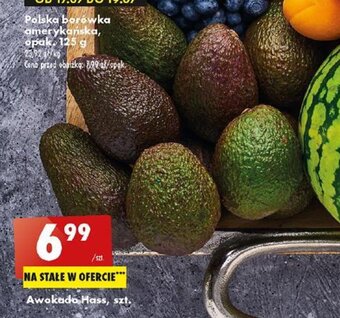 Biedronka Awokado Hass, szt. oferta