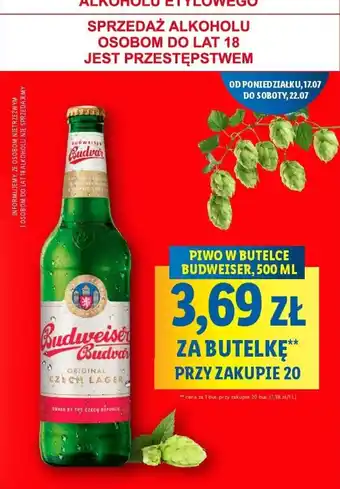 Lidl PIWO W BUTELCE BUDWEISER, 500 ML PRZY ZAKUPIE 20 oferta