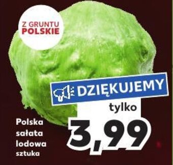 Kaufland Polska sałata lodowa sztuka oferta
