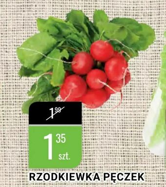 bi1 Rzodkiewka pęczek oferta