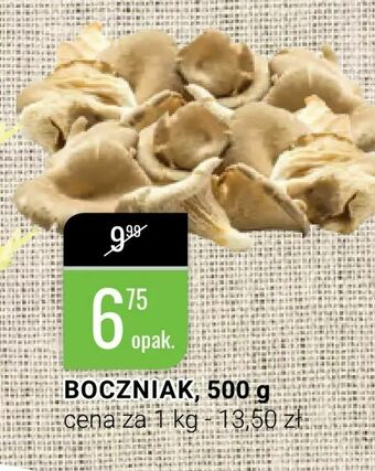 Boczniak